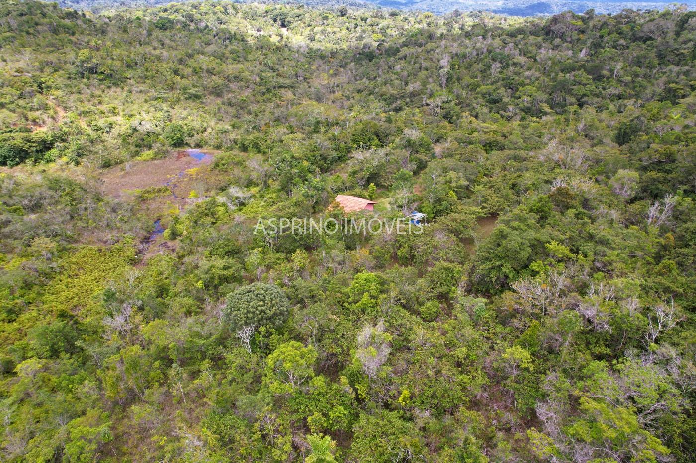 Sítio, 21 hectares - Foto 1