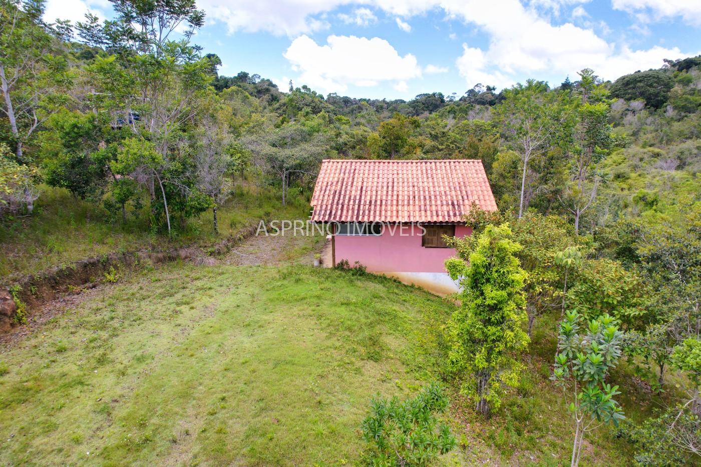 Sítio, 21 hectares - Foto 4