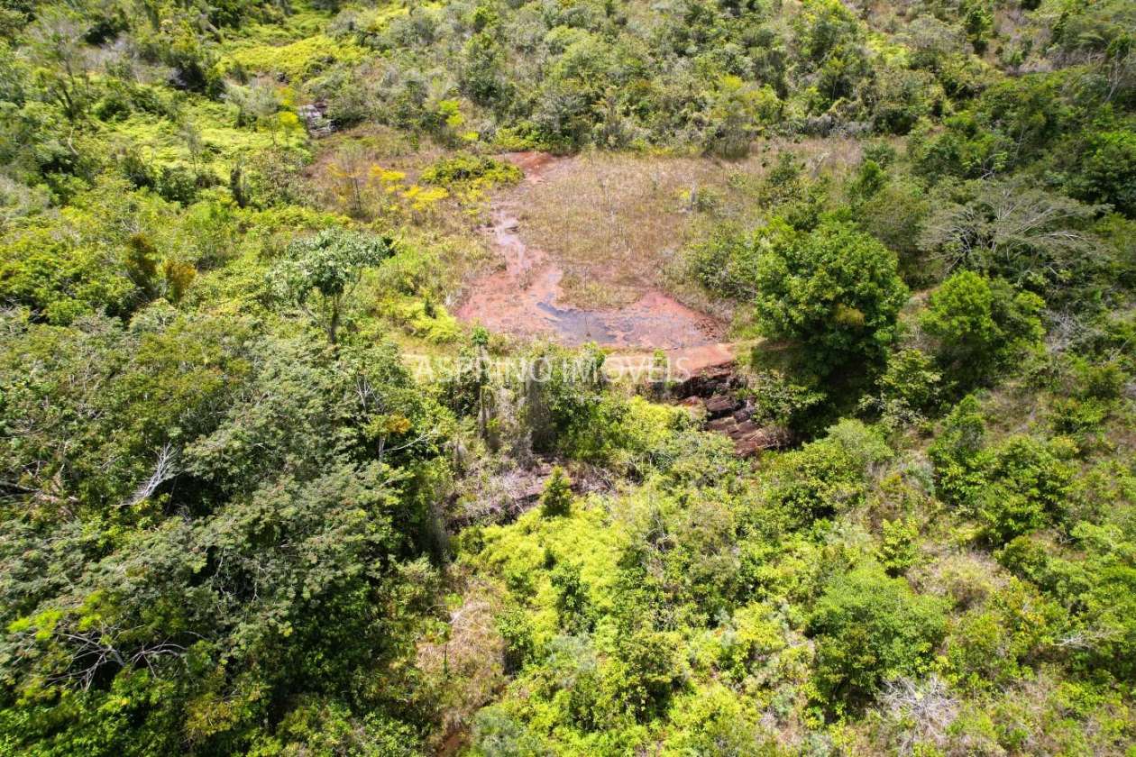 Sítio, 21 hectares - Foto 9