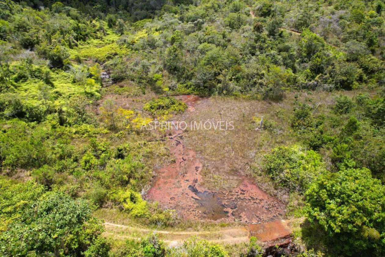 Sítio, 21 hectares - Foto 10