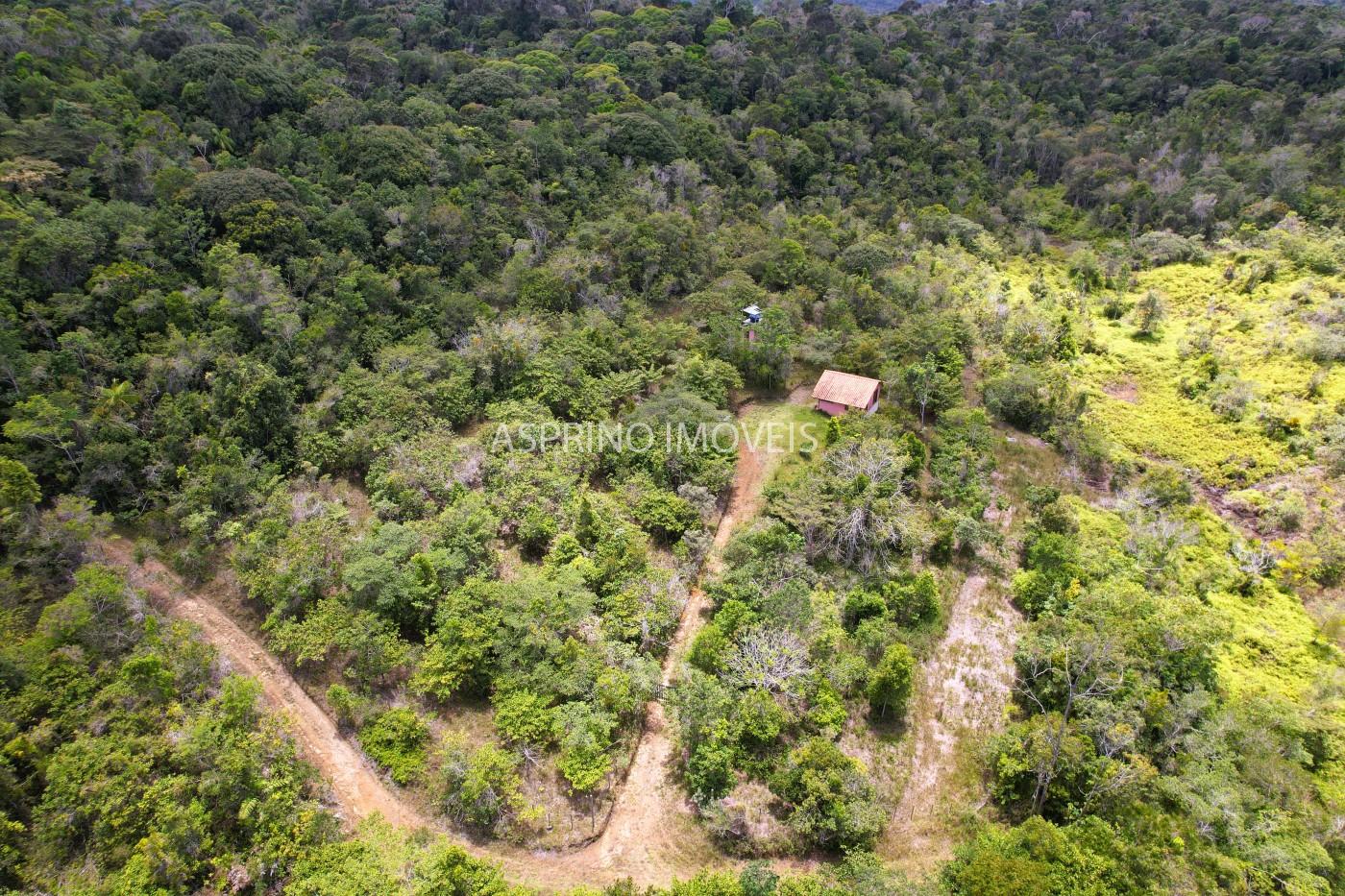 Sítio, 21 hectares - Foto 8