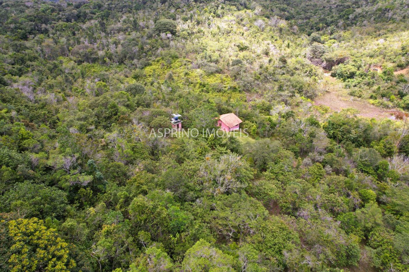 Sítio, 21 hectares - Foto 7