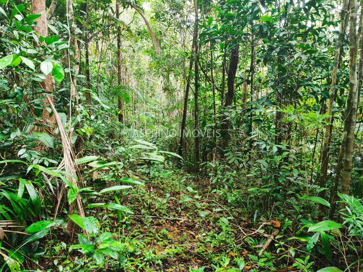 Terreno, 10 hectares - Foto 9