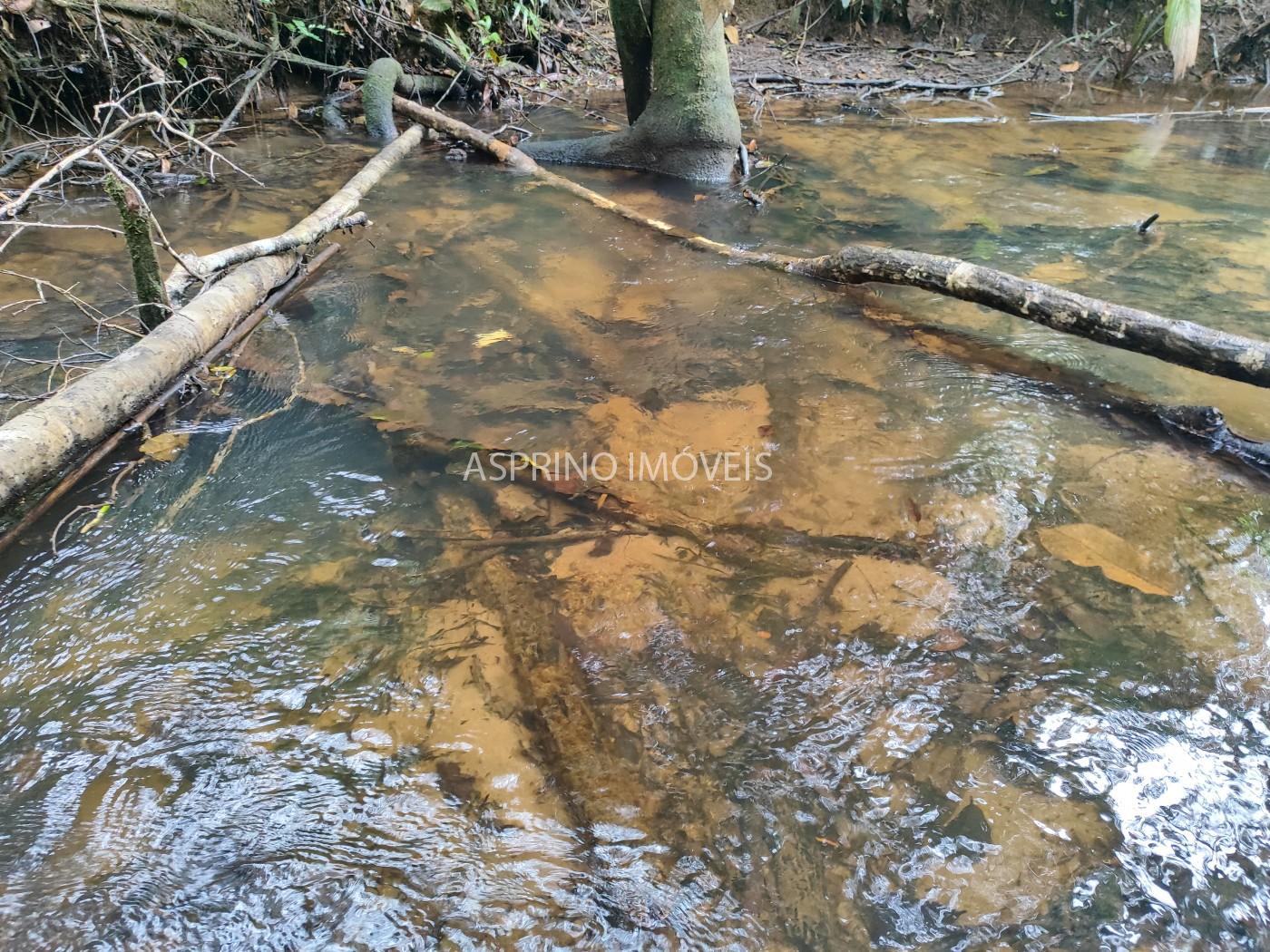 Terreno, 10 hectares - Foto 7