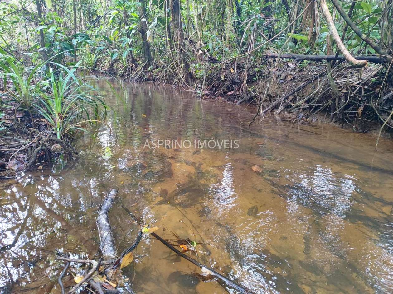 Terreno, 10 hectares - Foto 6