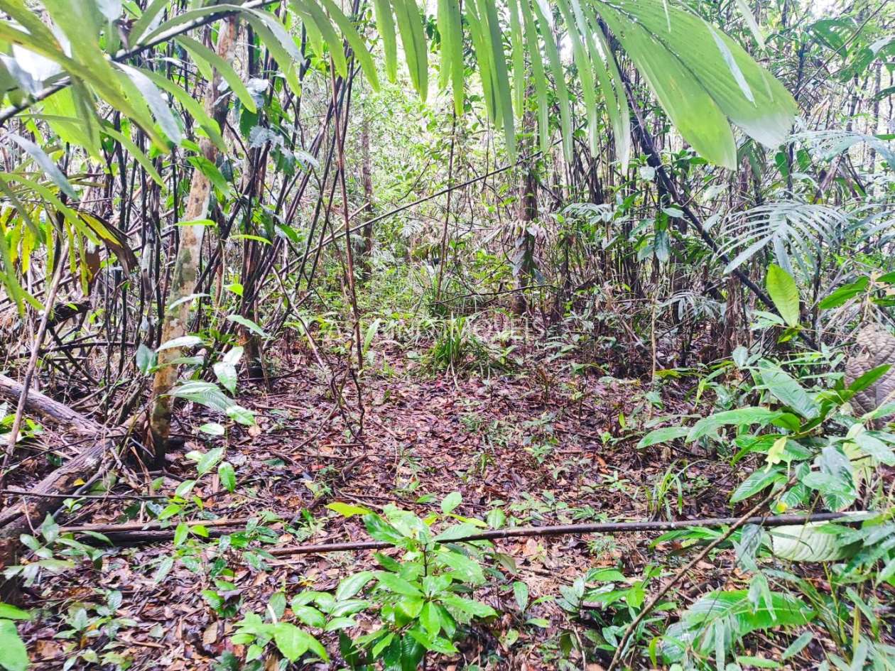 Terreno, 10 hectares - Foto 14