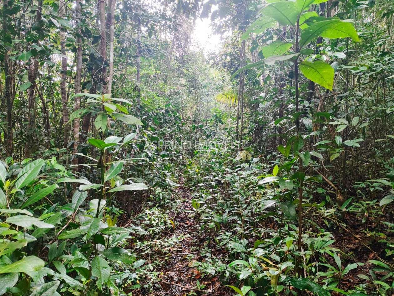 Terreno, 10 hectares - Foto 11