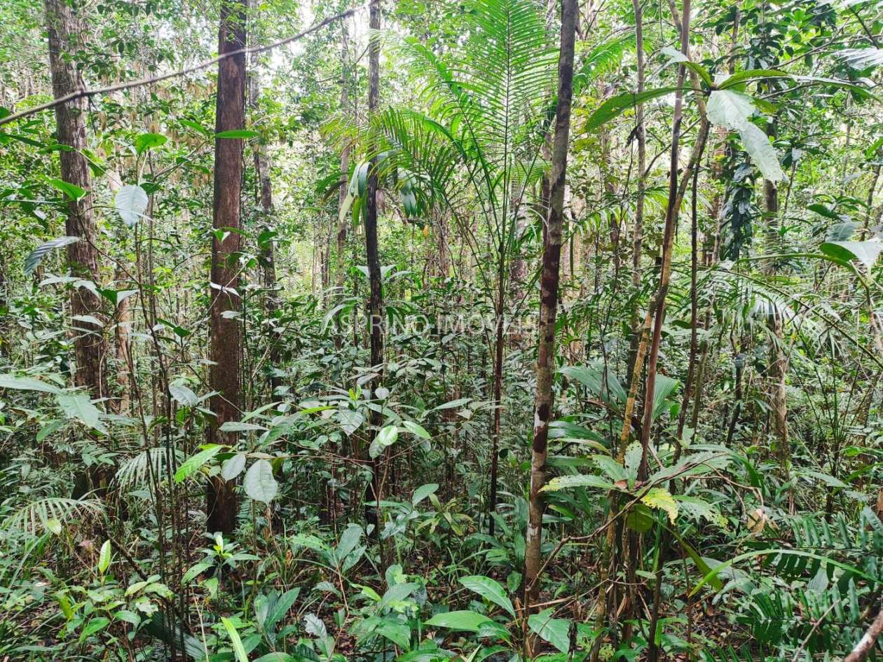 Terreno, 10 hectares - Foto 20