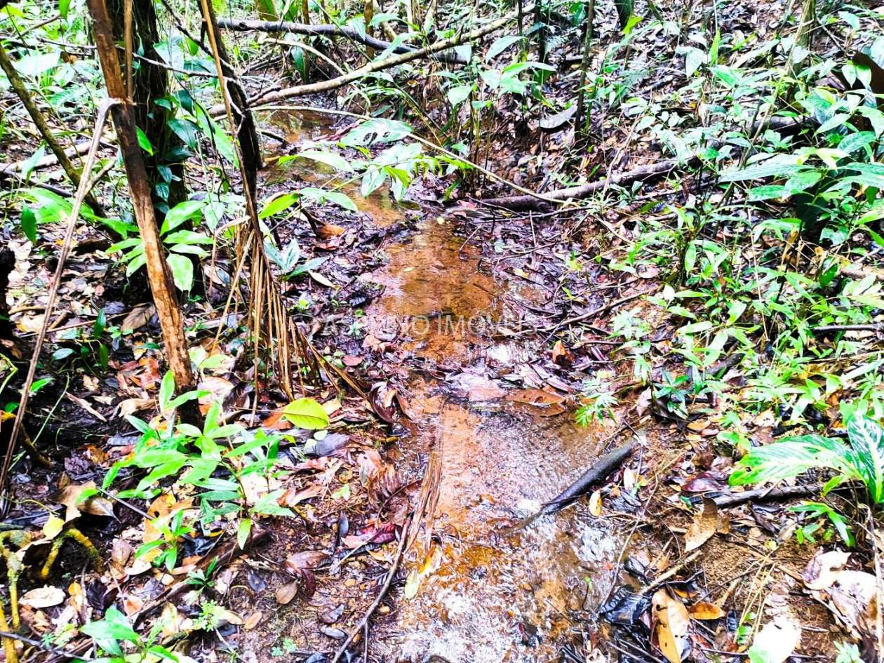 Terreno, 10 hectares - Foto 19