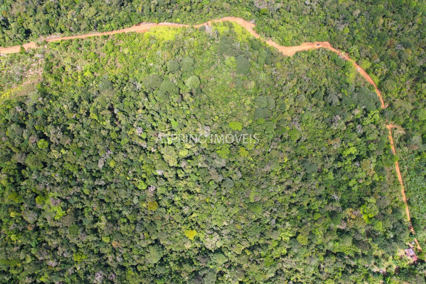 Terreno, 10 hectares - Foto 30