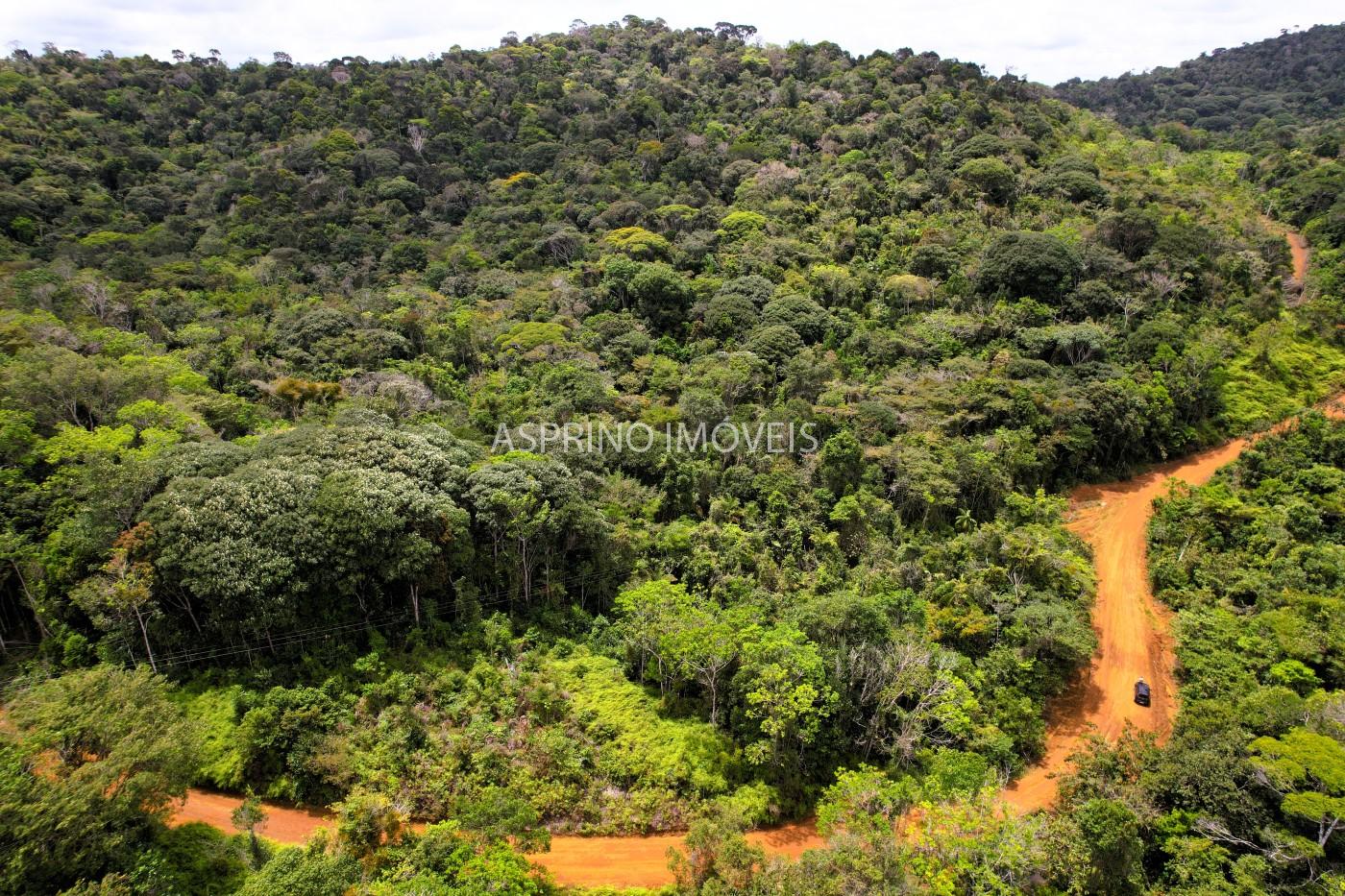 Terreno, 10 hectares - Foto 3