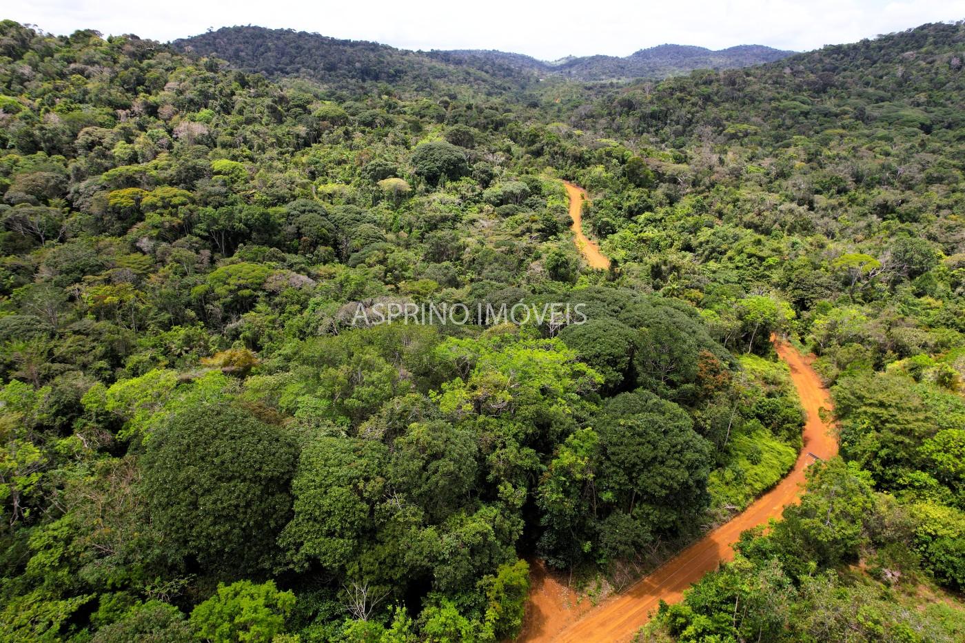 Terreno, 10 hectares - Foto 1