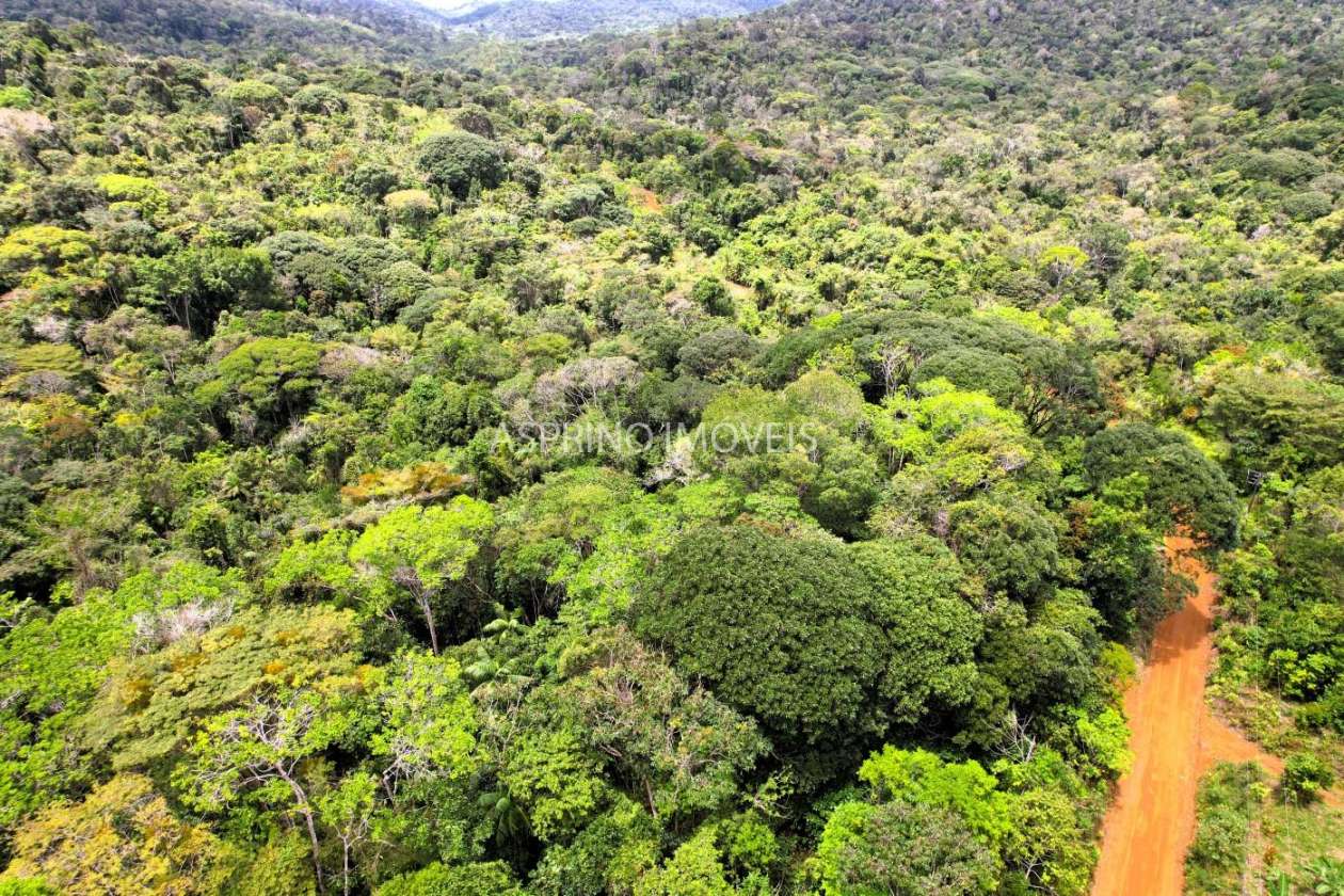 Terreno, 10 hectares - Foto 4