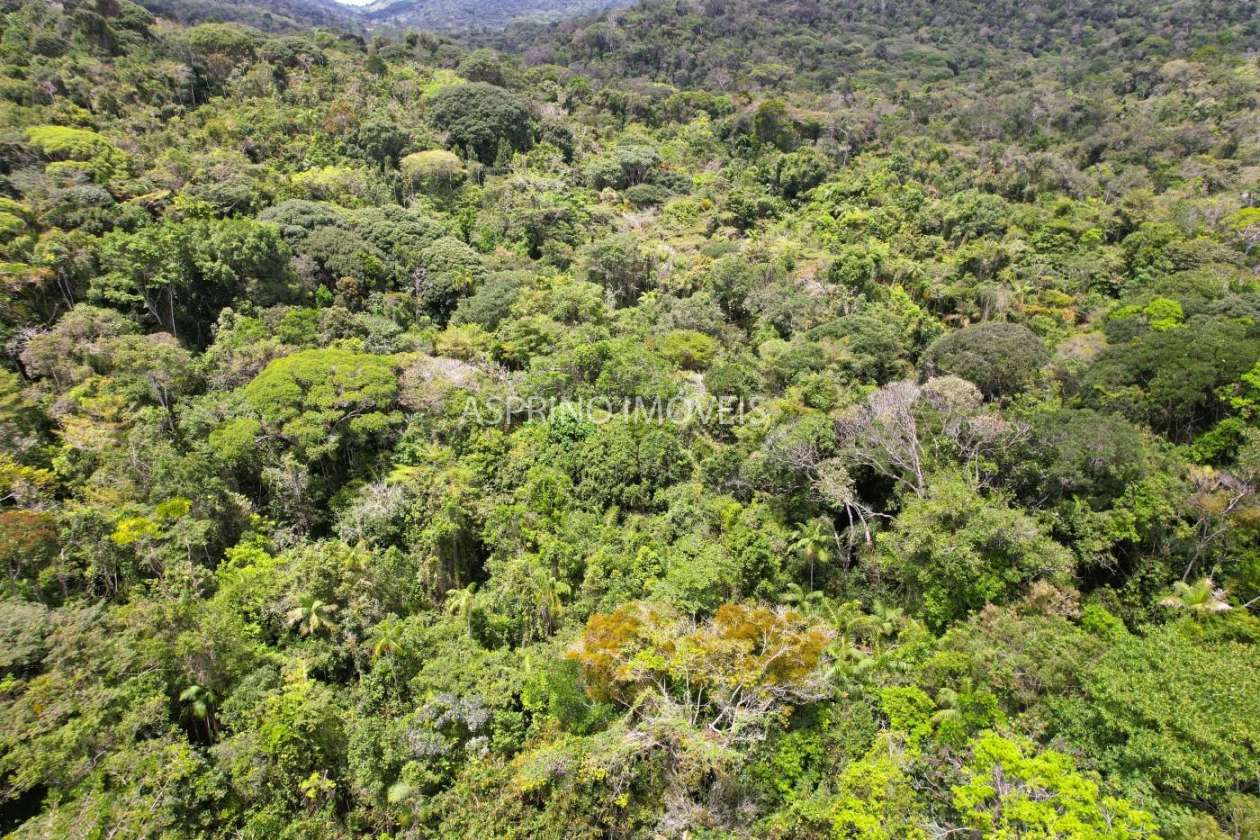 Terreno, 10 hectares - Foto 22