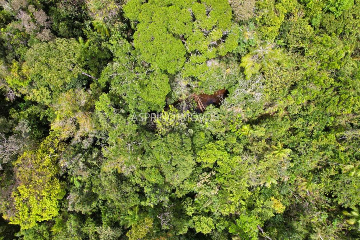 Terreno, 10 hectares - Foto 21