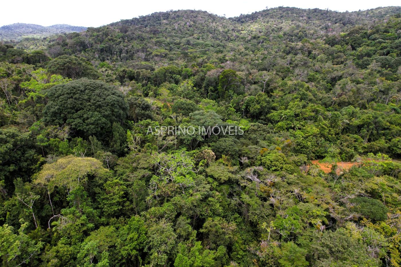 Terreno, 10 hectares - Foto 23