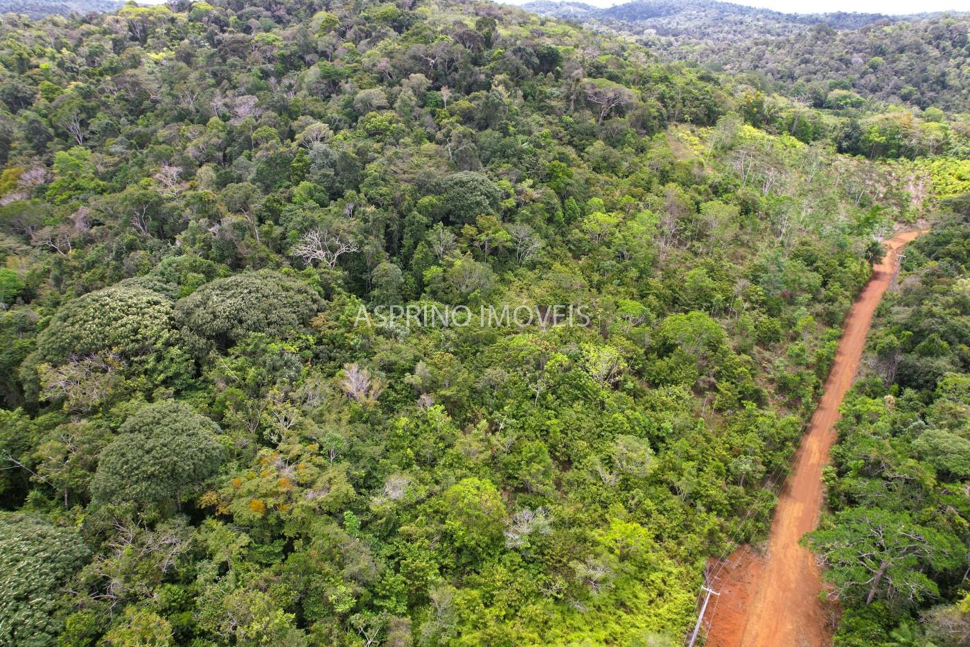 Terreno, 10 hectares - Foto 5