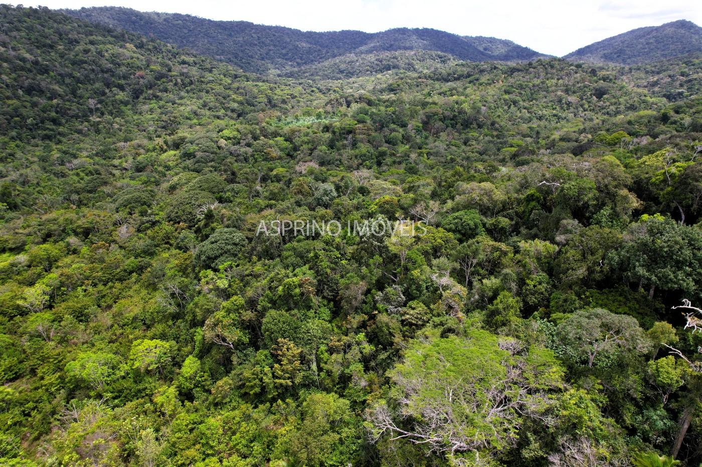 Terreno, 10 hectares - Foto 24