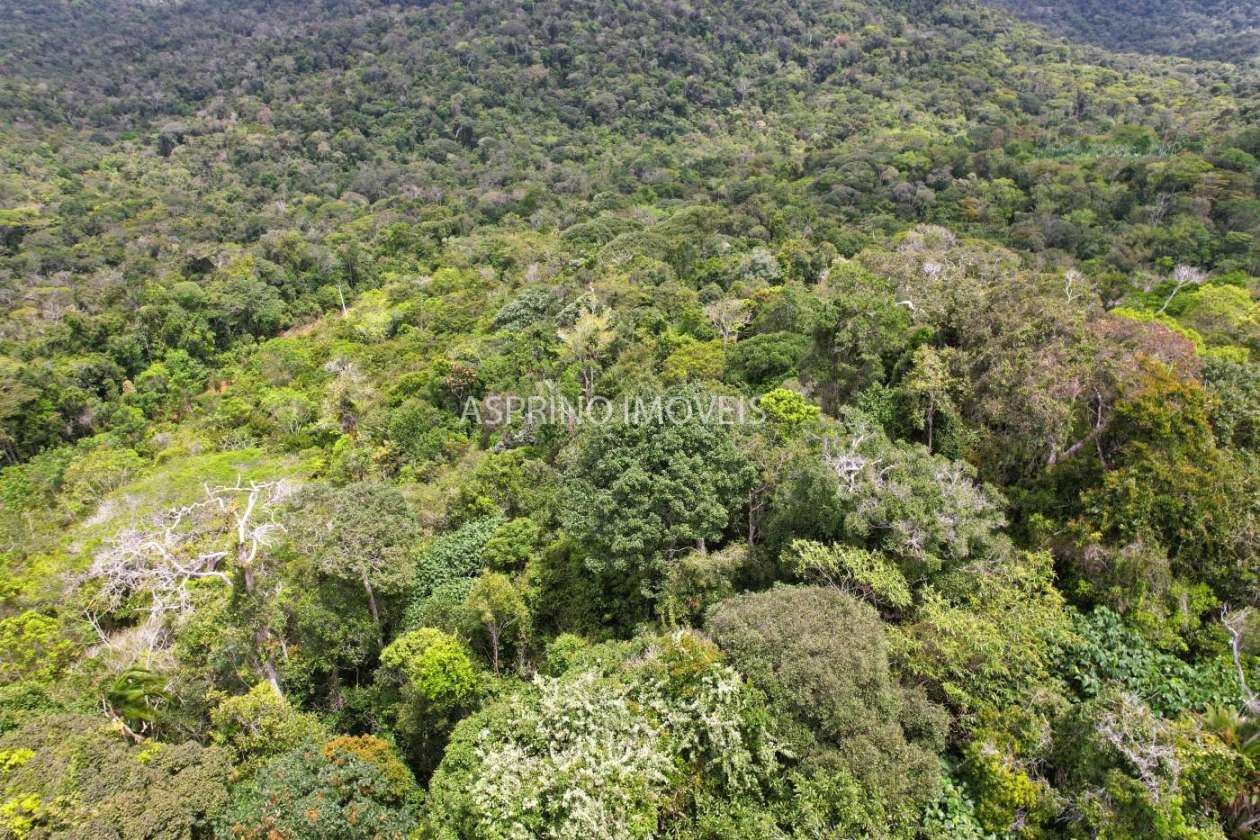 Terreno, 10 hectares - Foto 28