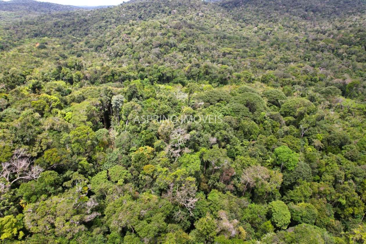 Terreno, 10 hectares - Foto 26