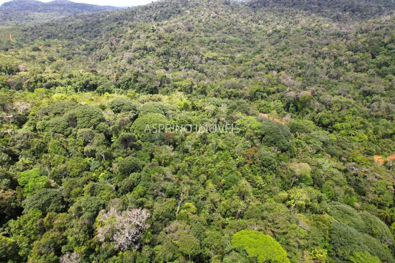 Terreno, 10 hectares - Foto 25