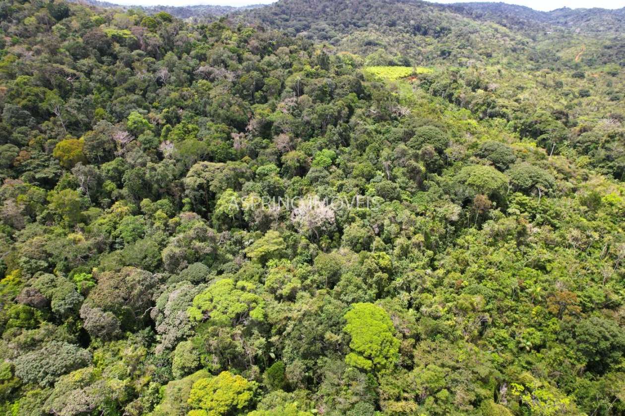 Terreno, 10 hectares - Foto 29