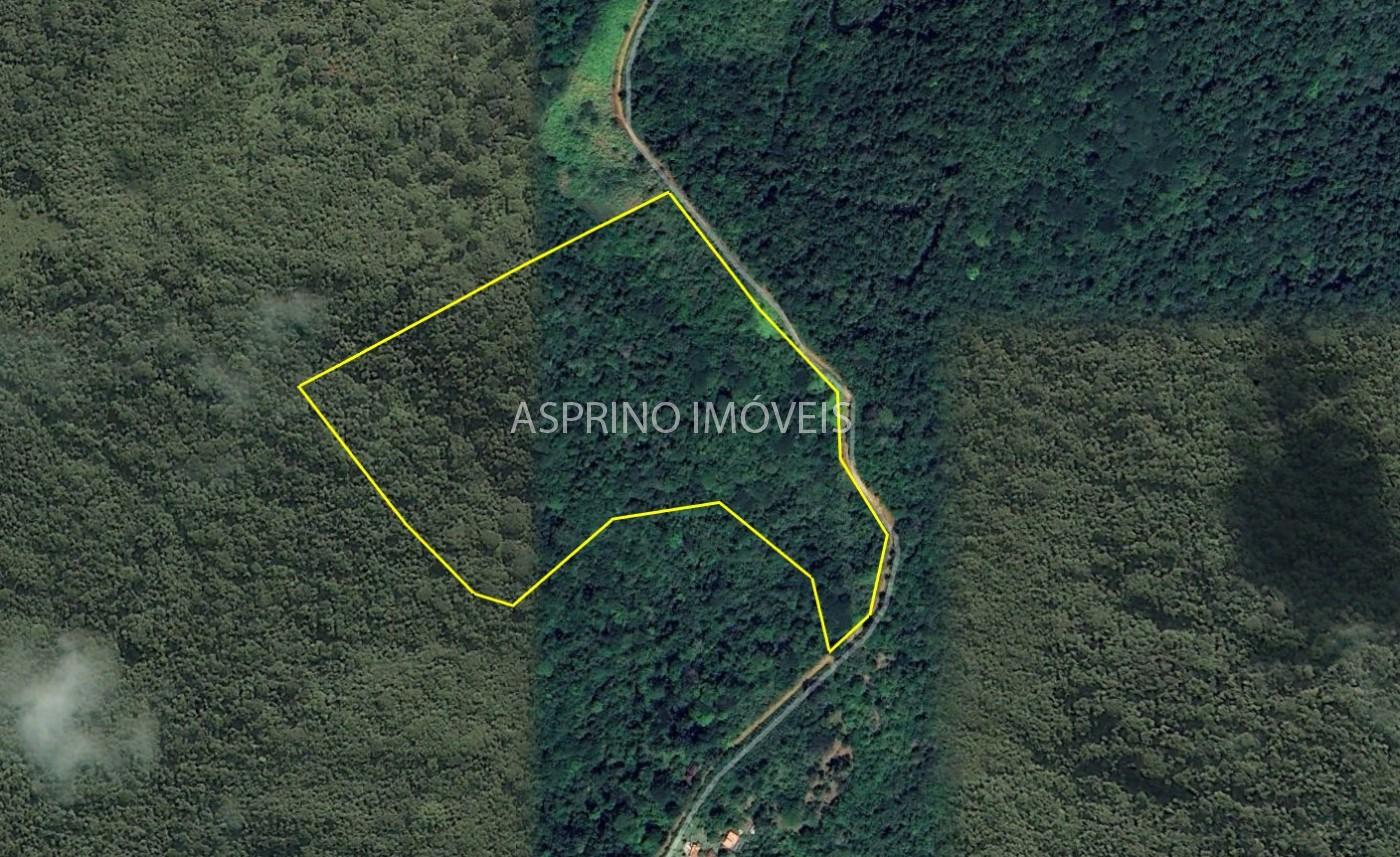 Terreno, 10 hectares - Foto 2