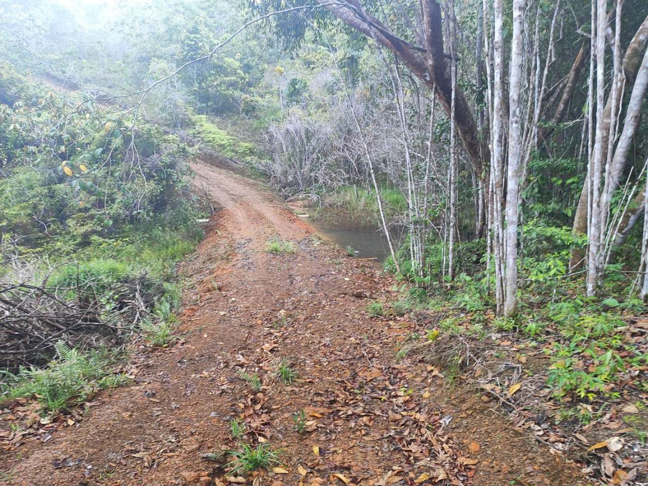 Terreno, 15 hectares - Foto 2