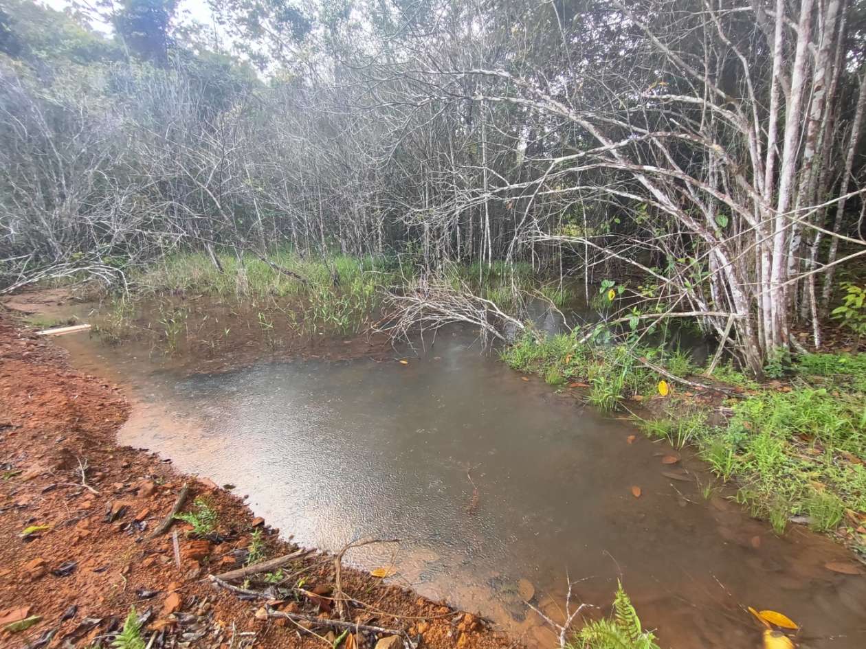 Terreno, 15 hectares - Foto 3