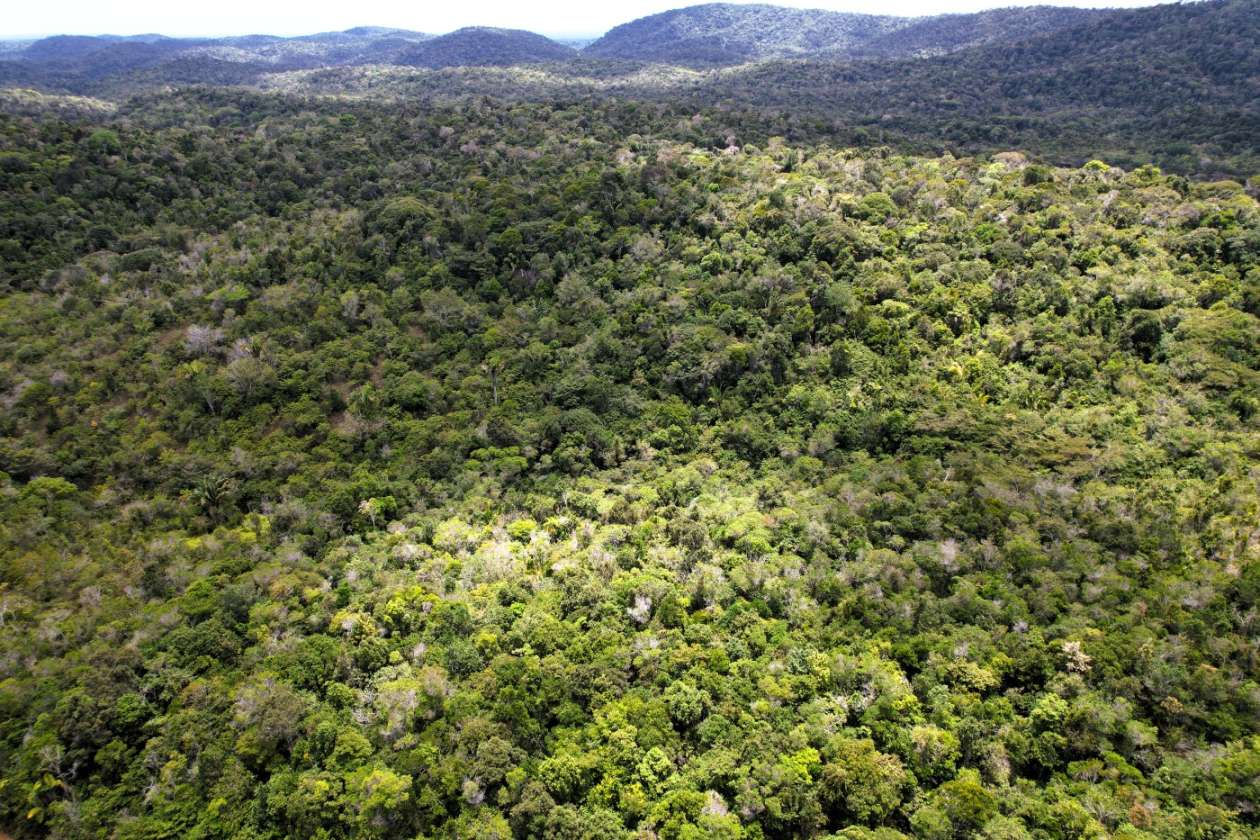 Terreno, 15 hectares - Foto 10