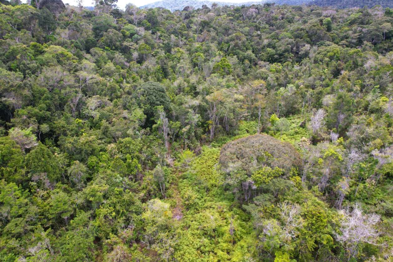 Terreno, 15 hectares - Foto 1