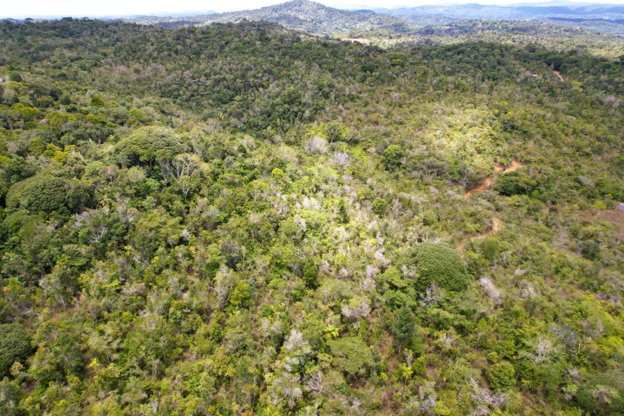 Terreno, 15 hectares - Foto 17