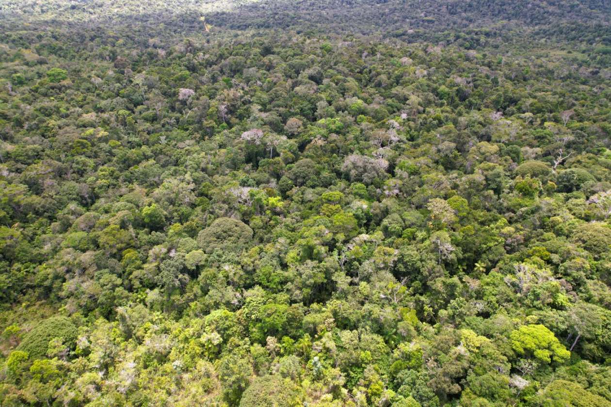 Terreno, 15 hectares - Foto 9