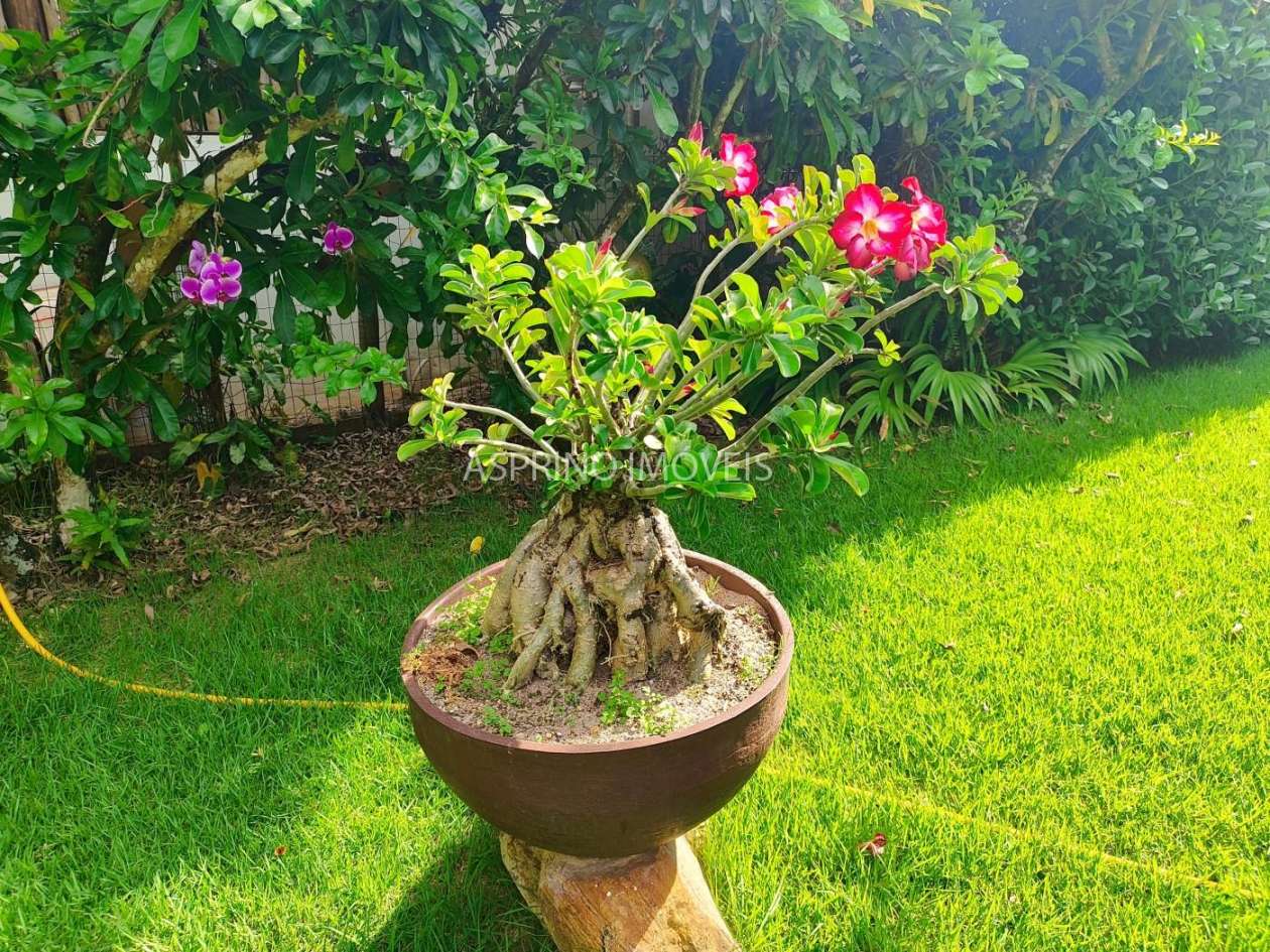 Casa, 2 quartos, 705 m² - Foto 40