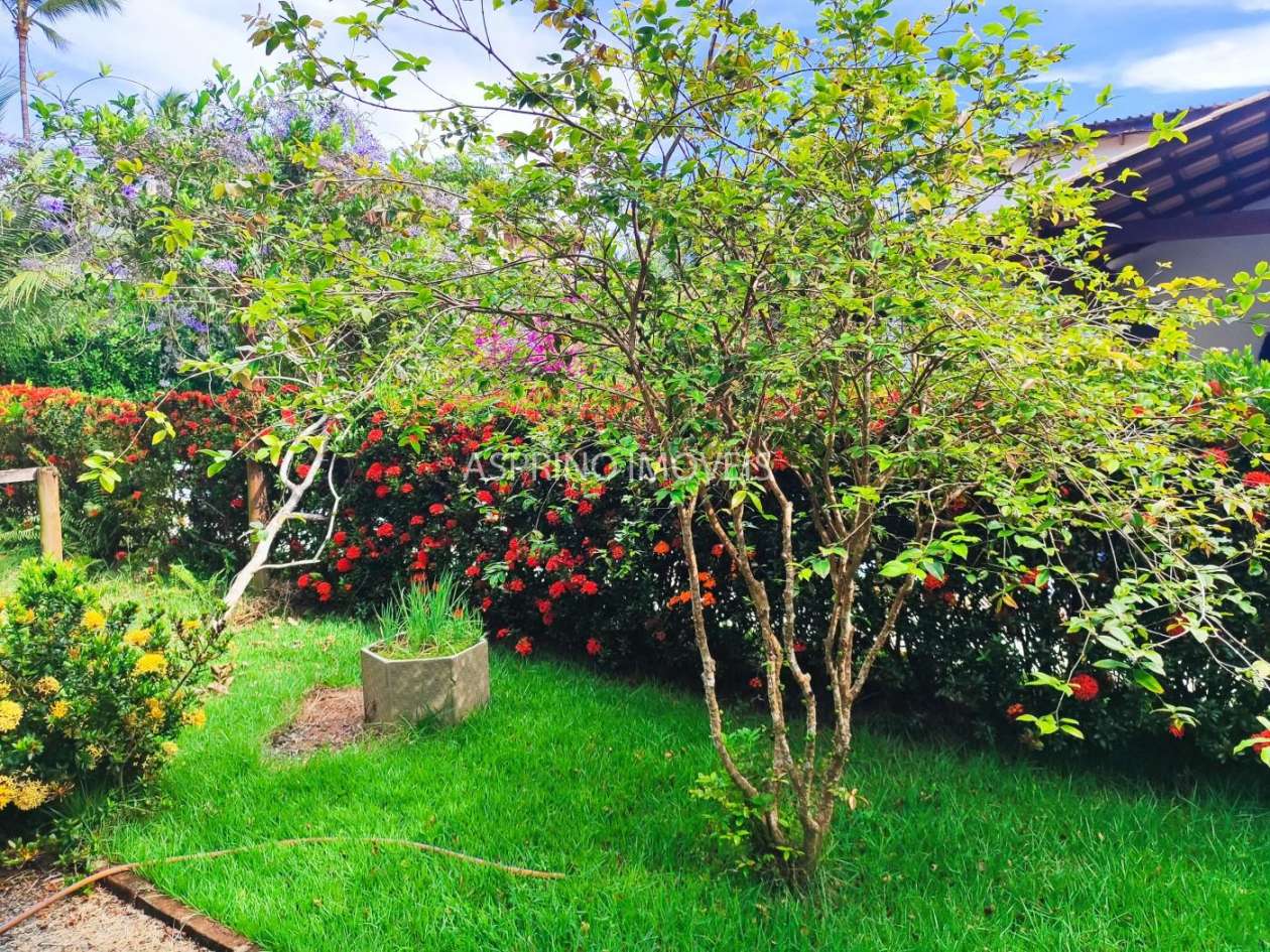 Casa, 2 quartos, 705 m² - Foto 21