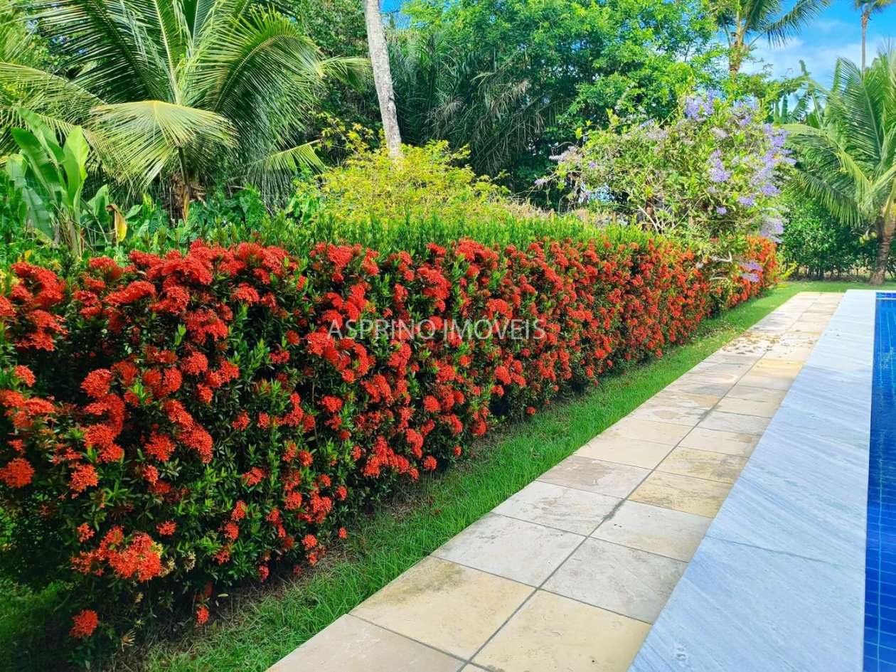 Casa, 2 quartos, 705 m² - Foto 32