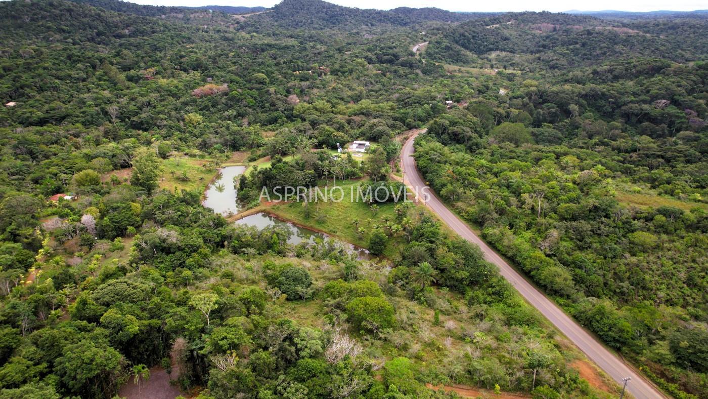 Terreno, 2 hectares - Foto 5