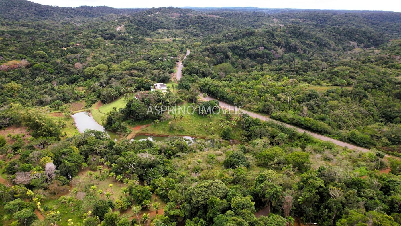 Terreno, 2 hectares - Foto 7