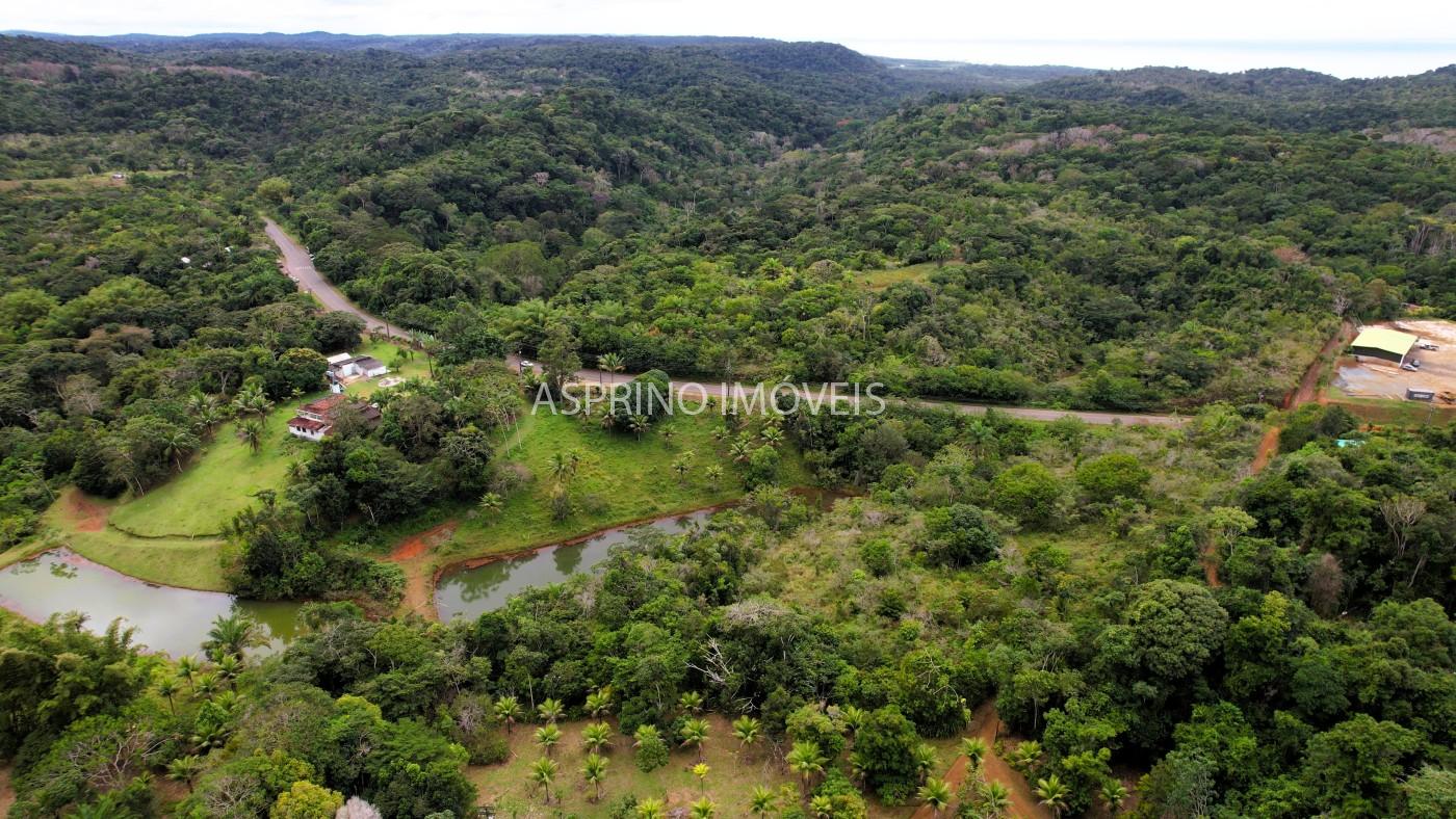 Terreno, 2 hectares - Foto 9