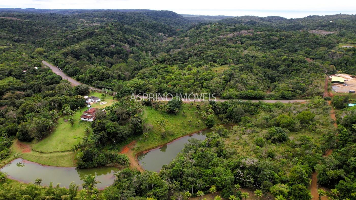 Terreno, 2 hectares - Foto 10