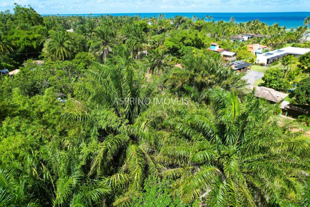 Terreno, 800 m² - Foto 12