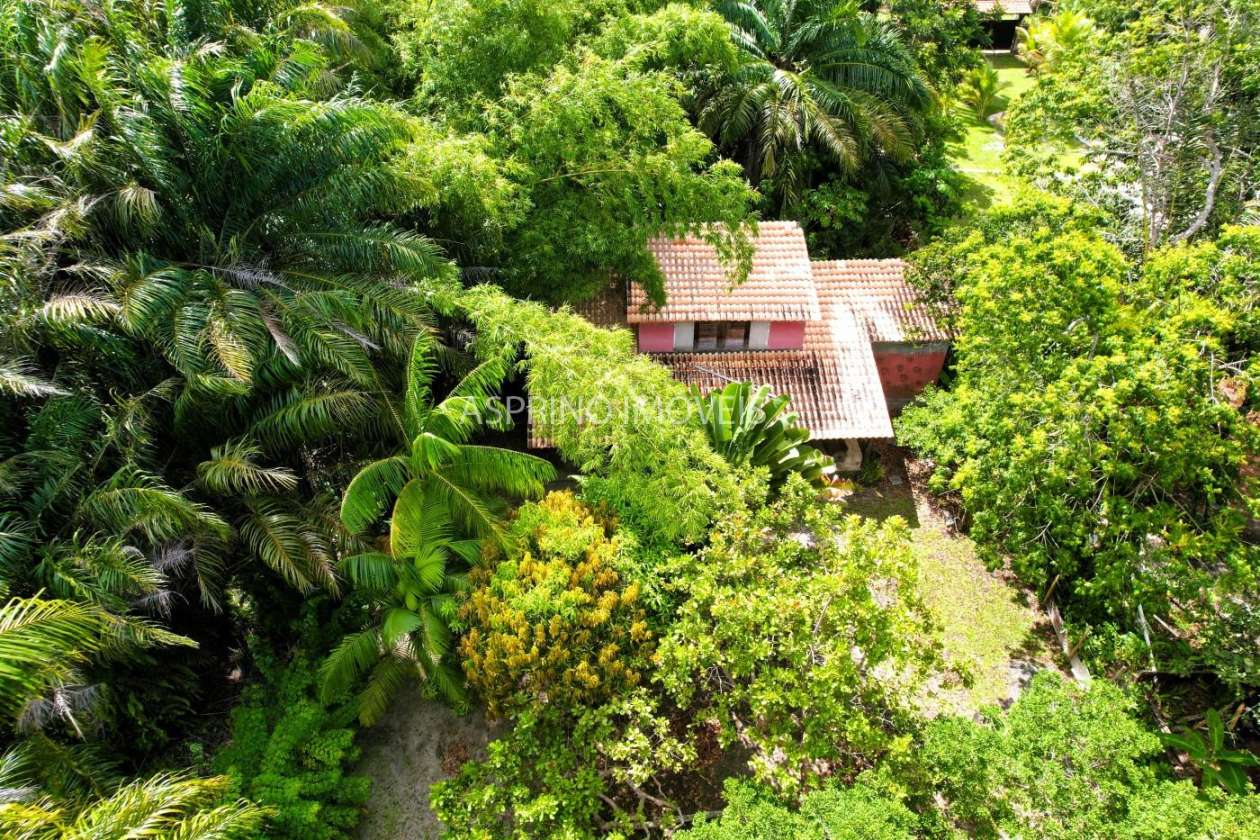 Terreno, 800 m² - Foto 7