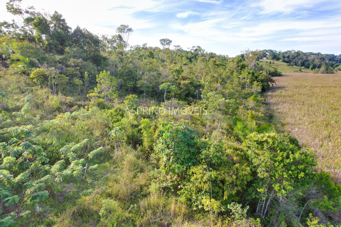 Sítio, 6 hectares - Foto 13