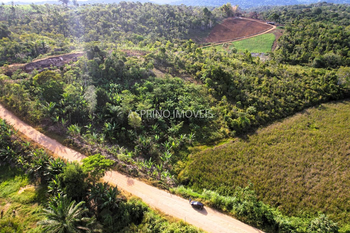 Chácara, 6 hectares - Foto 3