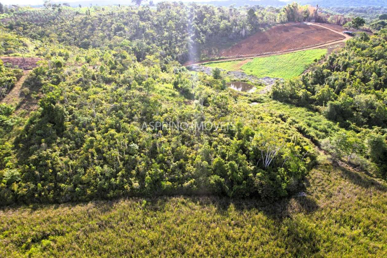 Chácara, 6 hectares - Foto 5