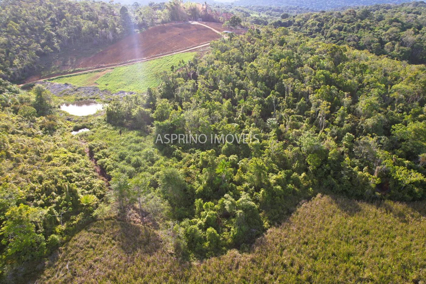 Sítio, 6 hectares - Foto 6