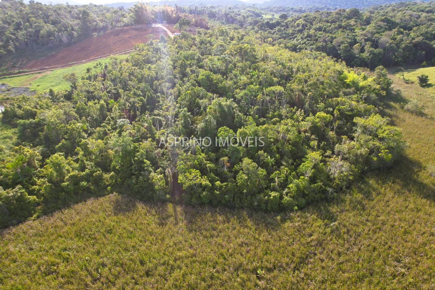 Sítio, 6 hectares - Foto 7