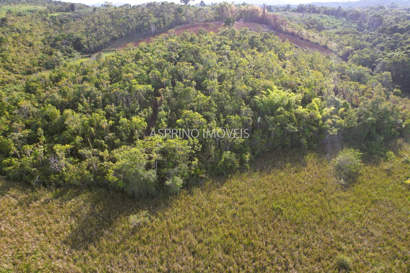 Sítio, 6 hectares - Foto 9