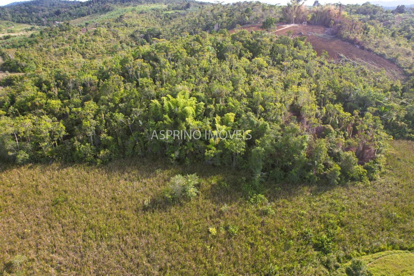 Sítio, 6 hectares - Foto 10