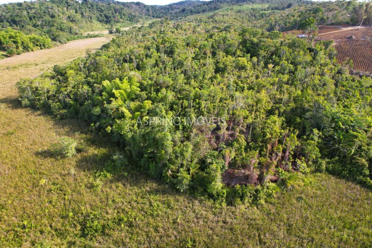 Sítio, 6 hectares - Foto 11